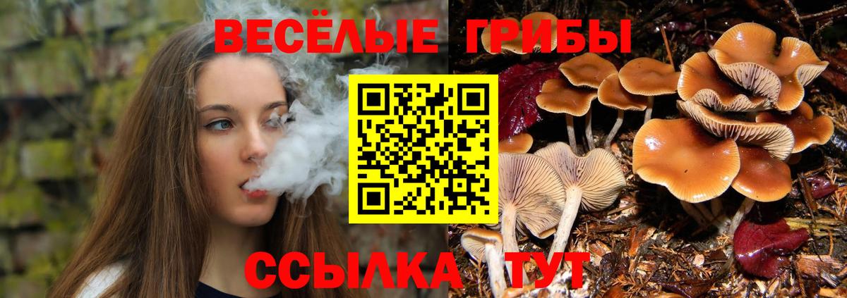 Карабулак  Галлюциногенные грибы GOLDEN TEACHER  Вход с VPN  Галлюциногенные грибы Magic Shrooms 